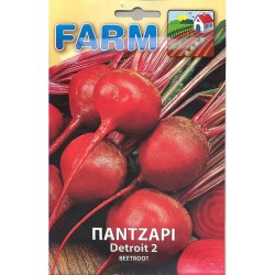 ΠΑΝΤΖΑΡΙ ΝΤΙΤΡΟΪΤ