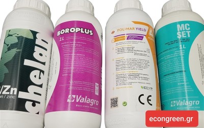 ΕΛΙΑ : ΔΙΑΦΥΛΛΙΚΗ ΛΙΠΑΝΣΗ ΕΛΙΑΣ.   ΠΛΕΟΝΕΚΤΉΜΑΤΑ ΚΑΙ ΜΕΙΟΝΕΚΤΉΜΑΤΑ.