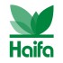 haifa